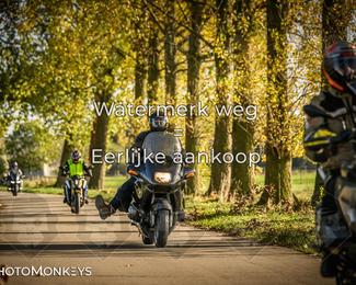 Herfstrit Moerzeke photo