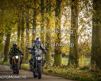 Herfstrit Moerzeke photo