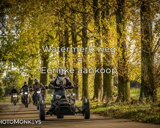 Herfstrit Moerzeke photo