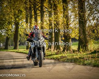 Herfstrit Moerzeke photo