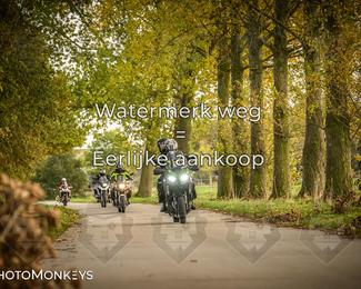 Herfstrit Moerzeke photo