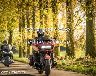 Herfstrit Moerzeke photo