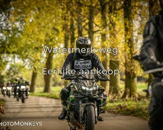 Herfstrit Moerzeke photo