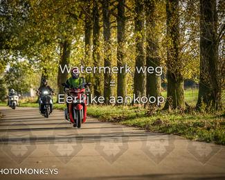 Herfstrit Moerzeke photo