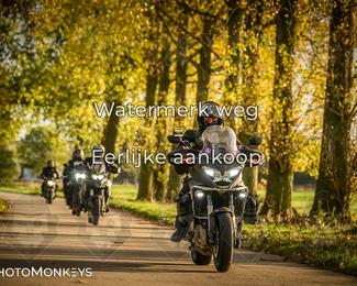 Herfstrit Moerzeke photo