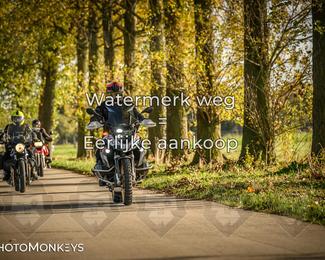 Herfstrit Moerzeke photo