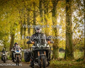 Herfstrit Moerzeke photo