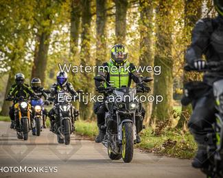 Herfstrit Moerzeke photo