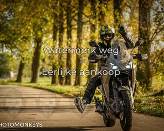 Herfstrit Moerzeke photo