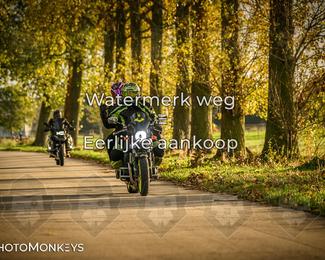 Herfstrit Moerzeke photo