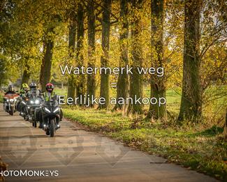 Herfstrit Moerzeke photo