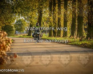 Herfstrit Moerzeke photo