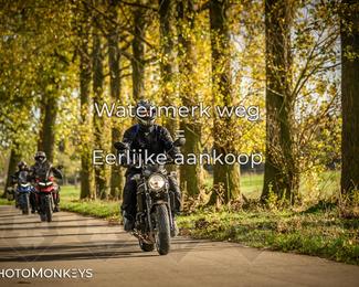 Herfstrit Moerzeke photo