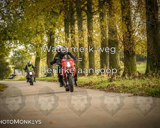 Herfstrit Moerzeke photo