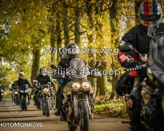 Herfstrit Moerzeke photo