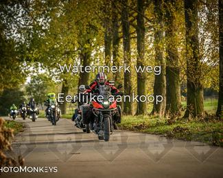 Herfstrit Moerzeke photo