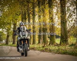 Herfstrit Moerzeke photo