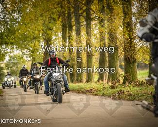 Herfstrit Moerzeke photo