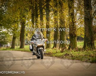 Herfstrit Moerzeke photo