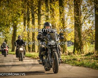 Herfstrit Moerzeke photo