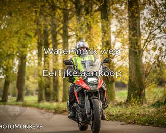 Herfstrit Moerzeke photo