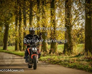 Herfstrit Moerzeke photo