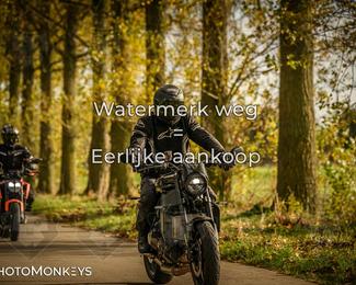 Herfstrit Moerzeke photo