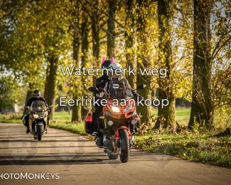 Herfstrit Moerzeke photo