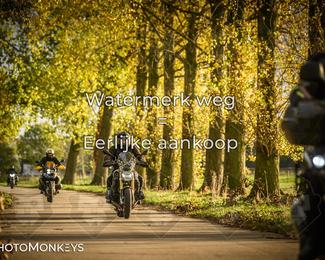 Herfstrit Moerzeke photo