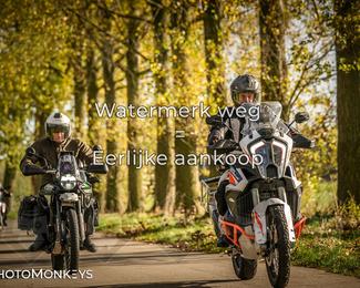 Herfstrit Moerzeke photo