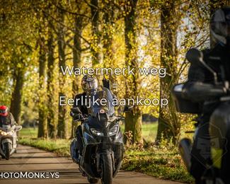 Herfstrit Moerzeke photo