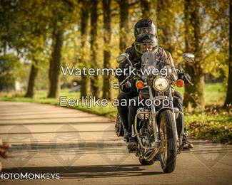 Herfstrit Moerzeke photo