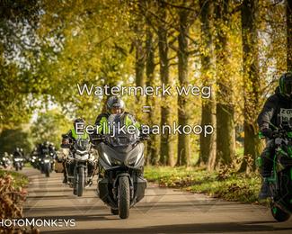 Herfstrit Moerzeke photo