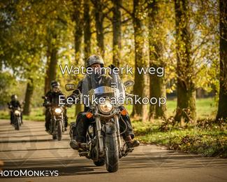 Herfstrit Moerzeke photo