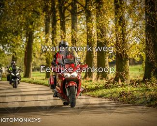 Herfstrit Moerzeke photo