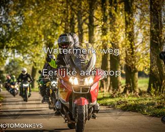 Herfstrit Moerzeke photo