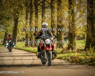 Herfstrit Moerzeke photo