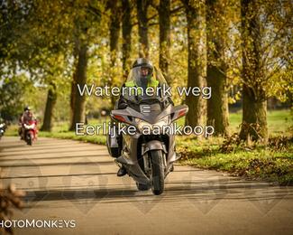 Herfstrit Moerzeke photo