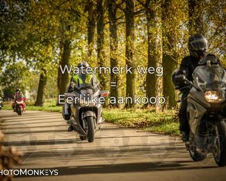 Herfstrit Moerzeke photo