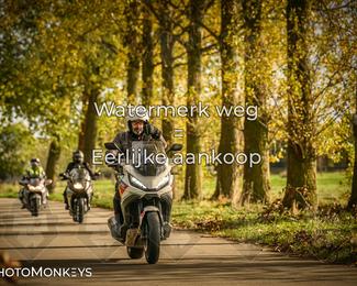 Herfstrit Moerzeke photo