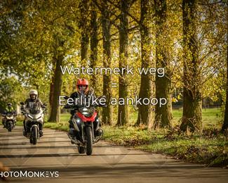 Herfstrit Moerzeke photo