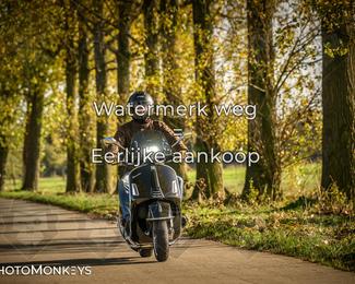 Herfstrit Moerzeke photo