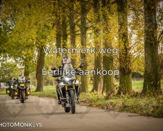 Herfstrit Moerzeke photo