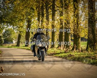 Herfstrit Moerzeke photo