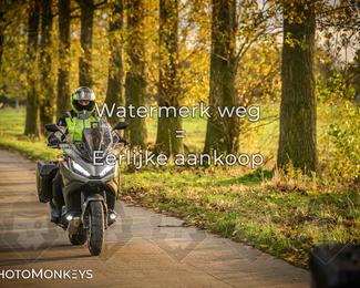 Herfstrit Moerzeke photo