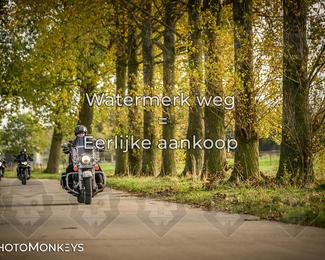 Herfstrit Moerzeke photo