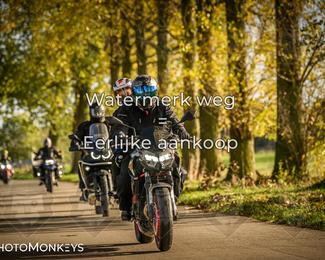 Herfstrit Moerzeke photo