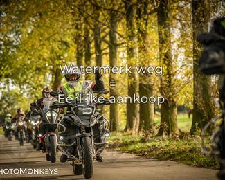 Herfstrit Moerzeke photo