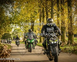 Herfstrit Moerzeke photo