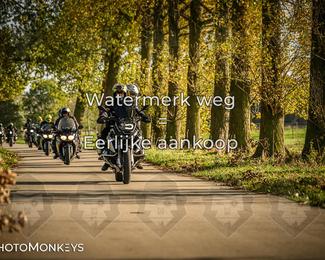 Herfstrit Moerzeke photo